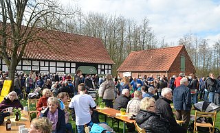 Zuletzt wurde das Narzissenfest 2019 gefeiert. - Mareike Patock Zuletzt wurde das Narzissenfest 2019 gefeiert. - Mareike Patock