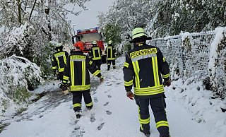 Schnee im April: Die Nieheimer Feuerwehren waren seit halb 5 unter anderem mit der Kettensäge im Einsatz, um Straßen von umgeknickten Bäumen und heruntergefallenen Ästen zu befreien. - Feuerwehr Nieheim Schnee im April: Die Nieheimer Feuerwehren waren seit halb 5 unter anderem mit der Kettensäge im Einsatz, um Straßen von umgeknickten Bäumen und heruntergefallenen Ästen zu befreien. - Feuerwehr Nieheim