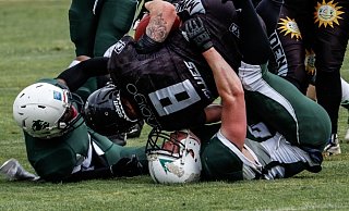 Endstation: Ein Bielefelder Spieler stoppt den Ballträger der Minden Wolves. Foto: Bielefeld bulldogs - bulldogs Endstation: Ein Bielefelder Spieler stoppt den Ballträger der Minden Wolves. Foto: Bielefeld bulldogs - bulldogs
