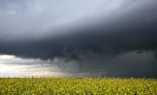 Für den Samstagnachmittag ist in OWL Regen angesagt. - Alexander Wolf/dpa Für den Samstagnachmittag ist in OWL Regen angesagt. - Alexander Wolf/dpa