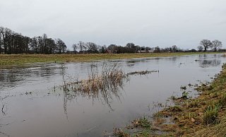 Am Freitagnachmittag hatte das Wasser der Aue nördlich von Pr. Ströhen schon fast den Rand des Flussbettes erreicht. Regnet es weiter, dann dürfte der Weser-Zufluss über die Ufer treten. - Joern Spreen-Ledebur Am Freitagnachmittag hatte das Wasser der Aue nördlich von Pr. Ströhen schon fast den Rand des Flussbettes erreicht. Regnet es weiter, dann dürfte der Weser-Zufluss über die Ufer treten. - Joern Spreen-Ledebur