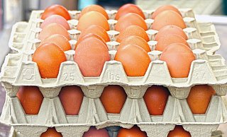 Auch Eier könnte es aus den Verkaufsautomaten geben. - Pixabay (Symbolbild) Auch Eier könnte es aus den Verkaufsautomaten geben. - Pixabay (Symbolbild)