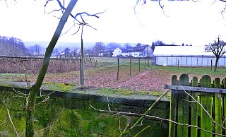 Der Blick geht von der Hofmauer des Biohofes in Richtung Osnabrücker und Wilfriedstraße. Auf Grünflächen des Hofes Meyer zu Borgsen sollen rund 60 neue Wohneinheiten entstehen. - Susanne Lahr Der Blick geht von der Hofmauer des Biohofes in Richtung Osnabrücker und Wilfriedstraße. Auf Grünflächen des Hofes Meyer zu Borgsen sollen rund 60 neue Wohneinheiten entstehen. - Susanne Lahr