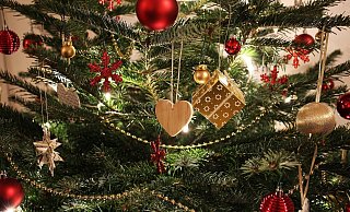 Nach der Weihnachtszeit werden die Christbäume oft schnell entsorgt. Sie können aber auch weiterverwendet werden. - Symbolbild: Pixabay Nach der Weihnachtszeit werden die Christbäume oft schnell entsorgt. Sie können aber auch weiterverwendet werden. - Symbolbild: Pixabay