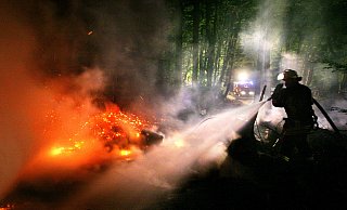 Ein Feuerwehrmann löscht Waldbrand. Im Kreis Gütersloh warnen die Experten angesichts der hohen Temperaturen und anhaltender Trockenheit vor einer erhöhten Gefahr. - Julian Stratenschulte Ein Feuerwehrmann löscht Waldbrand. Im Kreis Gütersloh warnen die Experten angesichts der hohen Temperaturen und anhaltender Trockenheit vor einer erhöhten Gefahr. - Julian Stratenschulte