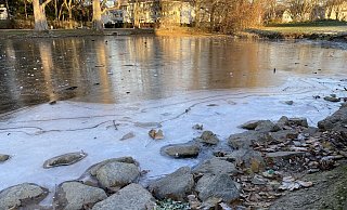 Eine Eisschicht hat sich auf dem Kolk im Riemekepark gebildet, tragfähig ist sie höchstens für Wasservögel. - Marc Schröder Eine Eisschicht hat sich auf dem Kolk im Riemekepark gebildet, tragfähig ist sie höchstens für Wasservögel. - Marc Schröder