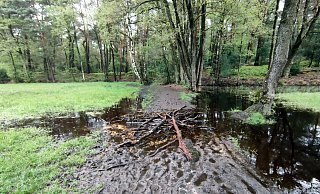 Einige Wanderwege in der Moosheide bei Hövelhof erfordern aufgrund der Regenfälle zusätzliche Vorsicht. - Gemeinde Hövelhof Einige Wanderwege in der Moosheide bei Hövelhof erfordern aufgrund der Regenfälle zusätzliche Vorsicht. - Gemeinde Hövelhof