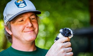 Tierpfleger Tobias Becker kümmert sich liebevoll um die Meerschweinchen. - Sarah Jonek Tierpfleger Tobias Becker kümmert sich liebevoll um die Meerschweinchen. - Sarah Jonek