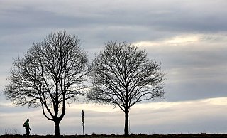 Für einen Sonntagsspaziergang eignet sich vor allem die zweite Tageshälfte. Es dürfte in OWL dann nur vereinzelt regnen. - Thomas Warnack Für einen Sonntagsspaziergang eignet sich vor allem die zweite Tageshälfte. Es dürfte in OWL dann nur vereinzelt regnen. - Thomas Warnack