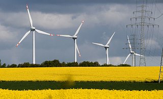 Privatkunden der Stadtwerke Bielefeld erhalten künftig nur noch grünen Strom. - picture alliance/dpa Privatkunden der Stadtwerke Bielefeld erhalten künftig nur noch grünen Strom. - picture alliance/dpa