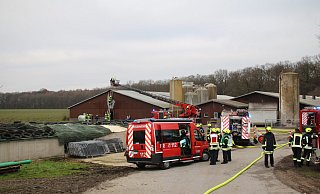 Die Feuerwehrleute waren mit einem umfangreichen Aufgebot zu einem Schweinestall in Rheda-Wiedenbrück ausgerückt. - Thorsten Heß Die Feuerwehrleute waren mit einem umfangreichen Aufgebot zu einem Schweinestall in Rheda-Wiedenbrück ausgerückt. - Thorsten Heß