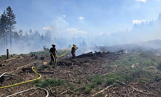 Feuerwehrleute aus Euskirchen und anliegenden Orten löschen einen Brand auf einer gerodeten Waldfläche. - Benedict Lickfeld Feuerwehrleute aus Euskirchen und anliegenden Orten löschen einen Brand auf einer gerodeten Waldfläche. - Benedict Lickfeld