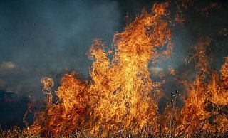 Waldbrandgefahr: In Bielefeld stand ein Feld in Flammen. - Symbolfoto Waldbrandgefahr: In Bielefeld stand ein Feld in Flammen. - Symbolfoto