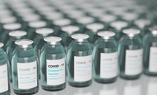 Experten hoffen, dass der neue Impfstoff Novavax bisher Impfunwillige oder Skeptiker überzeugen kann. - Pixabay Experten hoffen, dass der neue Impfstoff Novavax bisher Impfunwillige oder Skeptiker überzeugen kann. - Pixabay