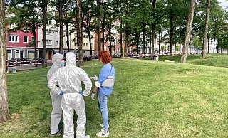 Mordermittler und Spurensicherung haben den Tatort an der „Tüte“ am Freitag abgesperrt. Inzwischen ist klar, dass das Opfer schlief, als es angegriffen wurde. - Jens Reichenbach Mordermittler und Spurensicherung haben den Tatort an der „Tüte“ am Freitag abgesperrt. Inzwischen ist klar, dass das Opfer schlief, als es angegriffen wurde. - Jens Reichenbach