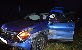 Der Kia des Löhners kam nach eine Kollision mit Schutzplanke und Leitpfosten in einem Gebüsch zum Stehen. - Polizei Bückeburg Der Kia des Löhners kam nach eine Kollision mit Schutzplanke und Leitpfosten in einem Gebüsch zum Stehen. - Polizei Bückeburg