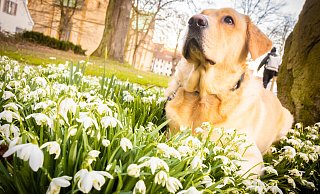 Brookyln ist auch froh, dass der nasse und graue Winter endlich vorbei ist. Jetzt kann es nur besser werden. Oder? - Mike-Dennis Müller / www.mdm.photo Brookyln ist auch froh, dass der nasse und graue Winter endlich vorbei ist. Jetzt kann es nur besser werden. Oder? - Mike-Dennis Müller / www.mdm.photo