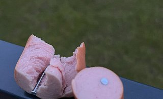 Die mit Nägeln präparierten Würstchen dienen als Lockmittel für die Hunde. - privat Die mit Nägeln präparierten Würstchen dienen als Lockmittel für die Hunde. - privat