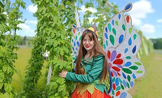Zur Landesgartenschau ist der Hopfen – hier mit Holli – nach Höxter zurückgekehrt. Die grünen Lianen umgeben eine Obstplantage in Sichtweite des Klosters. - LGS Zur Landesgartenschau ist der Hopfen – hier mit Holli – nach Höxter zurückgekehrt. Die grünen Lianen umgeben eine Obstplantage in Sichtweite des Klosters. - LGS