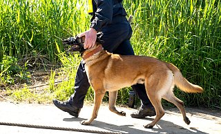 Das am Mittwoch vermisste Mädchen aus Brakel ist wieder da. Ein Tatverdächtiger sitzt in U-Haft. - Sina Schuldt Das am Mittwoch vermisste Mädchen aus Brakel ist wieder da. Ein Tatverdächtiger sitzt in U-Haft. - Sina Schuldt