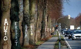 Klimaschützerinnen und Klimaschützer hatten die Bäume bemalt aus Protest gegen eine drohende Abholzung. - Andreas Frücht Klimaschützerinnen und Klimaschützer hatten die Bäume bemalt aus Protest gegen eine drohende Abholzung. - Andreas Frücht