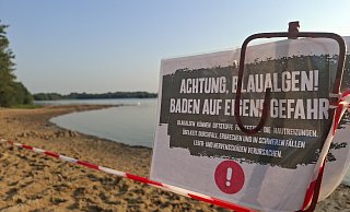 Der Lippesee in Sande kommt aufgrund von Blaualgen aktuell nicht zum Baden infrage. - Henrike Buschmann Der Lippesee in Sande kommt aufgrund von Blaualgen aktuell nicht zum Baden infrage. - Henrike Buschmann
