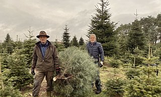 Heiner Vieth (l.) und Harry Surendorf mit einer Colorado-Tanne aus der eigenen Schonung. - Phyllis Frieling Heiner Vieth (l.) und Harry Surendorf mit einer Colorado-Tanne aus der eigenen Schonung. - Phyllis Frieling