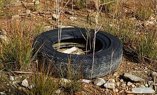 Der Reifen ist bislang noch nicht gefunden worden. - (Symbolbild): Pixabay Der Reifen ist bislang noch nicht gefunden worden. - (Symbolbild): Pixabay