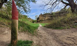 Der Doberg ist bei Spaziergängern beliebt. Jetzt muss er gesperrt werden - weil der Kreis sich um die Sicherheit der Besucher sorgt. - Florian Weyand Der Doberg ist bei Spaziergängern beliebt. Jetzt muss er gesperrt werden - weil der Kreis sich um die Sicherheit der Besucher sorgt. - Florian Weyand