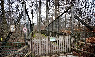 Trotz gesperrter Wolfsbrücke mit Laub und Moos lieben die Bielefelder ihren Tierpark. - Barbara Franke Trotz gesperrter Wolfsbrücke mit Laub und Moos lieben die Bielefelder ihren Tierpark. - Barbara Franke