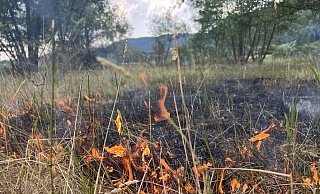 30. Juni: Eine trockene Wiese brennt am Freizeitsee in Godelheim. - Freiwillige Feuerwehr Höxter 30. Juni: Eine trockene Wiese brennt am Freizeitsee in Godelheim. - Freiwillige Feuerwehr Höxter