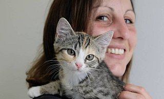 Der kleine grau mit orange getigerte Kater wurde "Mazda" getauft, ist zwölf Wochen alt und jetzt in der Obhut von Tierpflegerin Stefanie Schreiber im Tierheim Lübbecke. - Heike von Schulz Der kleine grau mit orange getigerte Kater wurde "Mazda" getauft, ist zwölf Wochen alt und jetzt in der Obhut von Tierpflegerin Stefanie Schreiber im Tierheim Lübbecke. - Heike von Schulz