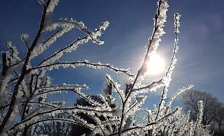 Frostige Nächte, kaum zehn Grad Höchsttemperatur an den Tagen. Wie kalt ist der April im Kreis Höxter wirklich? - David Schellenberg Frostige Nächte, kaum zehn Grad Höchsttemperatur an den Tagen. Wie kalt ist der April im Kreis Höxter wirklich? - David Schellenberg