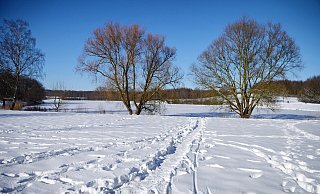 Winterwunderland in Bielefeld: Im Februar lag so viel Schnee wie schon lange nicht mehr. - Barbara Franke Winterwunderland in Bielefeld: Im Februar lag so viel Schnee wie schon lange nicht mehr. - Barbara Franke