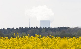 Das Kernkraftwerk Emsland in Niedersachsen soll Ende des Jahres abgeschaltet werden. - picture alliance/dpa Das Kernkraftwerk Emsland in Niedersachsen soll Ende des Jahres abgeschaltet werden. - picture alliance/dpa