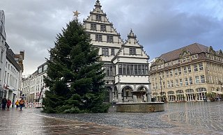 Am Vormittag sind die ersten Dekorationen wie der Stern auf der Spitze und Lichterketten am Weihnachtsbaum auf dem Paderborner Rathausplatz angebracht worden. - Marc Schröder Am Vormittag sind die ersten Dekorationen wie der Stern auf der Spitze und Lichterketten am Weihnachtsbaum auf dem Paderborner Rathausplatz angebracht worden. - Marc Schröder
