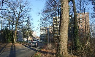 In einem dieser Mehrfamilien-Hochhäuser am Brandenburger Ring in Espelkamp ist im Januar dieses Jahres in einer Wohnung ein zehn Monate alter Säugling in der Badewanne ertrunken. - Karsten Schulz In einem dieser Mehrfamilien-Hochhäuser am Brandenburger Ring in Espelkamp ist im Januar dieses Jahres in einer Wohnung ein zehn Monate alter Säugling in der Badewanne ertrunken. - Karsten Schulz