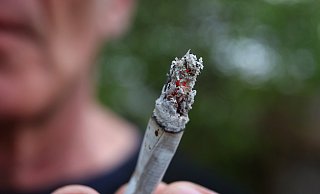 Der Verein Freie-Kiffer-Kultur-Paderborn möchte Cannabis anbauen und an Mitglieder ausgeben. Noch steht aber der Antrag bei der Bezirksregierung Detmold aus. - Karl-Josef Hildenbrand Der Verein Freie-Kiffer-Kultur-Paderborn möchte Cannabis anbauen und an Mitglieder ausgeben. Noch steht aber der Antrag bei der Bezirksregierung Detmold aus. - Karl-Josef Hildenbrand