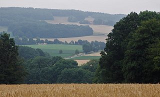 Vom Spatzenberg aus bietet sich ein wunderschöner Blick in die typisch ostwestfälische Landschaft. Im Hintergrund ist der Homberg zu sehen. - Meiko Haselhorst Vom Spatzenberg aus bietet sich ein wunderschöner Blick in die typisch ostwestfälische Landschaft. Im Hintergrund ist der Homberg zu sehen. - Meiko Haselhorst