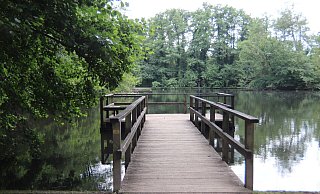 Auf einem Steg an den Sammelteichen in Schloß Holte-Stukenbrock ereignete sich das Verbrechen, das jetzt vor dem Landgericht verhandelt wird. - FIONA DYCK Auf einem Steg an den Sammelteichen in Schloß Holte-Stukenbrock ereignete sich das Verbrechen, das jetzt vor dem Landgericht verhandelt wird. - FIONA DYCK