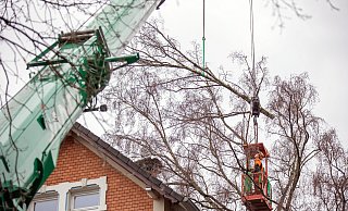 An der Werther Straße stürzte im Februar 2022 bei Sturm ein Baum auf ein Gebäude. - Oliver Krato An der Werther Straße stürzte im Februar 2022 bei Sturm ein Baum auf ein Gebäude. - Oliver Krato