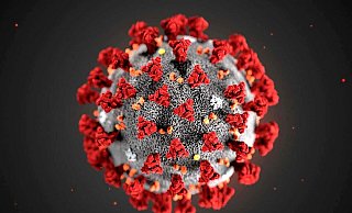 Der sogenannte Inzidenzwert galt lange als wichtigste Kennzahl für die Verbreitung des Coronavirus. Doch zunehmend wird er in Frage gestellt. - Symbolbild: Pixabay Der sogenannte Inzidenzwert galt lange als wichtigste Kennzahl für die Verbreitung des Coronavirus. Doch zunehmend wird er in Frage gestellt. - Symbolbild: Pixabay
