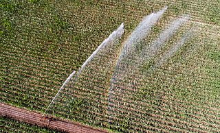 Angesichts häufigerer Dürren wollen immer mehr Bundesländer Landwirte für ihren Wasserverbrauch zur Kasse bitten. - Julian Stratenschulte Angesichts häufigerer Dürren wollen immer mehr Bundesländer Landwirte für ihren Wasserverbrauch zur Kasse bitten. - Julian Stratenschulte