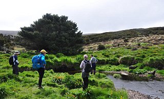 Neuseeland, hier Campbell Island, ist als Drehort der Serie "Die Hobbits" als Urlausbziel besonders beliebt. - dpa Neuseeland, hier Campbell Island, ist als Drehort der Serie "Die Hobbits" als Urlausbziel besonders beliebt. - dpa