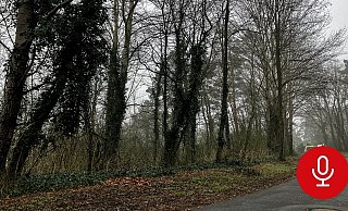 Der Tatort liegt in einem schmalen Waldstreifen in Senne. Kurz hinter der Wohnbebauung der Straße Am Ehrenkamp hatten sich die Mädchen eine Bude gebaut. - Jens Reichenbach Der Tatort liegt in einem schmalen Waldstreifen in Senne. Kurz hinter der Wohnbebauung der Straße Am Ehrenkamp hatten sich die Mädchen eine Bude gebaut. - Jens Reichenbach