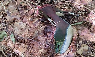 Ein hochhackiger Damenpumps fernab aller Wege im Wald zwischen Brakel und Höxter. - privat Ein hochhackiger Damenpumps fernab aller Wege im Wald zwischen Brakel und Höxter. - privat