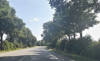 Östlich der B252 sollen Bäume für den 2plus1-Ausbau der Bundesstraße gefällt werden. - Simone Flörke Östlich der B252 sollen Bäume für den 2plus1-Ausbau der Bundesstraße gefällt werden. - Simone Flörke