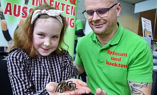 Die neunjährige Marie lässt sich von Claudio Vabuta eine Vogelspinne von beträchtlicher Größe auf die Hand setzen. - Barbara Franke Die neunjährige Marie lässt sich von Claudio Vabuta eine Vogelspinne von beträchtlicher Größe auf die Hand setzen. - Barbara Franke