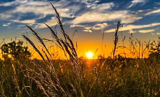Zum meteorologischen Herbstanfang locken Sonne und Wärme die Paderborner ins Freie. - (Symbolbild) Pixabay/FelixMittermeier Zum meteorologischen Herbstanfang locken Sonne und Wärme die Paderborner ins Freie. - (Symbolbild) Pixabay/FelixMittermeier