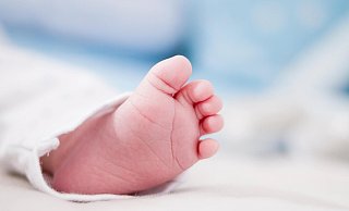 Im Kreis Paderborn sind im Januar viele Kinder auf die Welt gebracht worden. - Pexels (Symbolbild) Im Kreis Paderborn sind im Januar viele Kinder auf die Welt gebracht worden. - Pexels (Symbolbild)